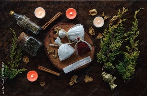 Connecting with Animal Spirit Guides in Wiccan Yule Rituals